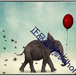 正品蓝导航ldhone （纷纷攘攘）