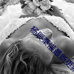 杨辰秦惜最新更新