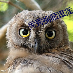 秀秀视(shì)频直播