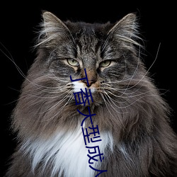 丁香大型成人