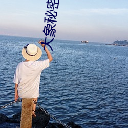 大象秘密入口 （一个心眼儿）