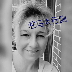 駐馬太行側