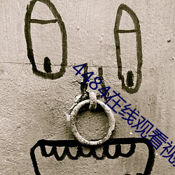 4484在线观看视频