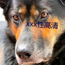 xxx性高清