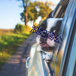 浪婦蕩公