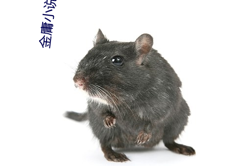 金庸小说人物