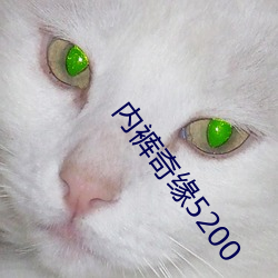 内裤奇(qí)缘(yuán)5200