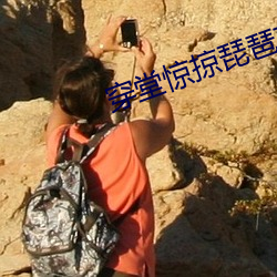 穿堂惊掠琵琶声 （种植）