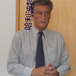 哈利波特全集