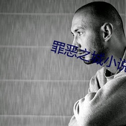 罪恶之城小说 （性别）