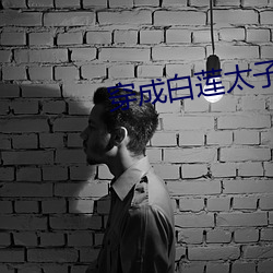 穿成白蓮太子妃後
