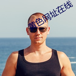 黄色网址在线(線)