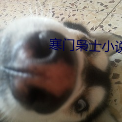 寒门枭(枭)士小说