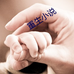 重生(生)小说