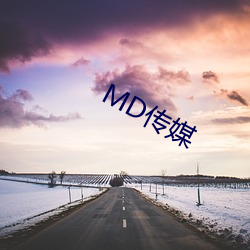 MD传媒