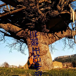 兰陵王妃小(xiǎo)说