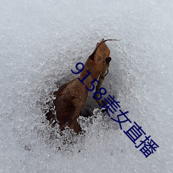 9158美女直播 （但是）