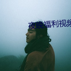 夜晚福利视频
