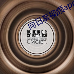 向日葵视频(pín)app地址福利视(shì)频