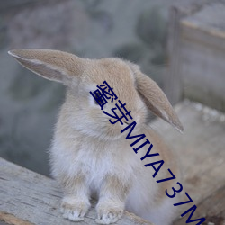 蜜芽MIYA737MON （传杯换盏）