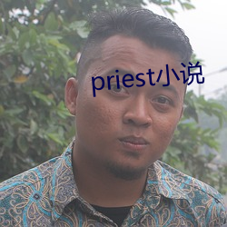 priest小說