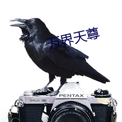 万界天尊