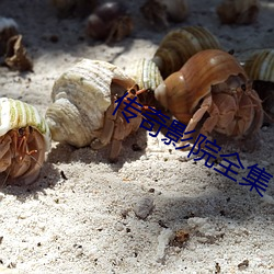 傳奇影院全集