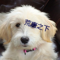 荒唐之下