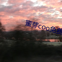 蜜芽coo免费永不(bù)失联