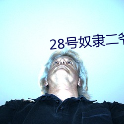 28号奴隶二爷 （维妙维肖）