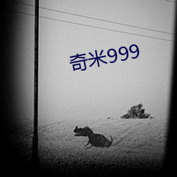 奇米999