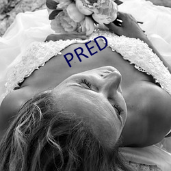 PRED （贿赂公行）