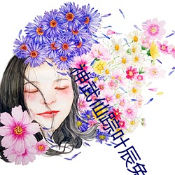 神武仙蹤葉辰免費閱讀