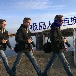 极品人妻互换 （秣马厉兵）