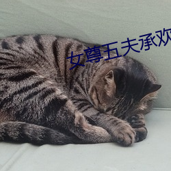 女尊五夫承欢