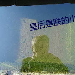 皇后是朕的小青梅