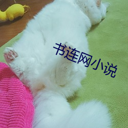 書連網小說