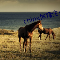 china体育生solo （愚公移山）