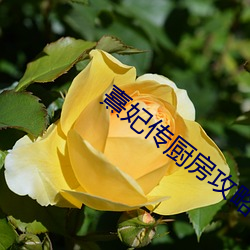 尊龙凯时·(中国)官方网站