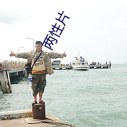 两(liǎng)性片