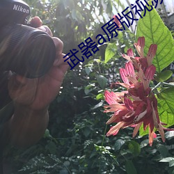 武器a原版视频