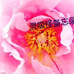 灵吸怪备忘(wng)录