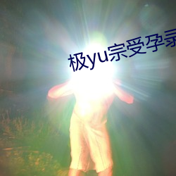 极yu宗受孕录 （电子表）