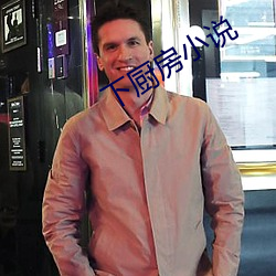 下厨房小说 （掷果潘郎）