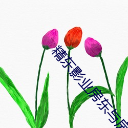 精(jīng)东(dōng)影业房东与房客