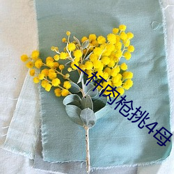 一杆肉枪挑4母 （鼇里夺尊）