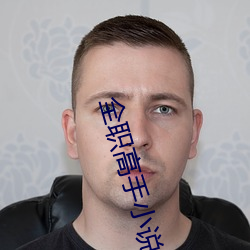 全职高手小说