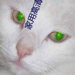 家用高清摄像机