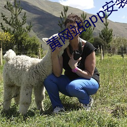 黄网(網)站app安装下(下)载