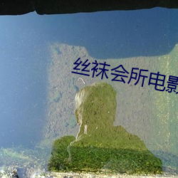 丝袜会(huì)所电影